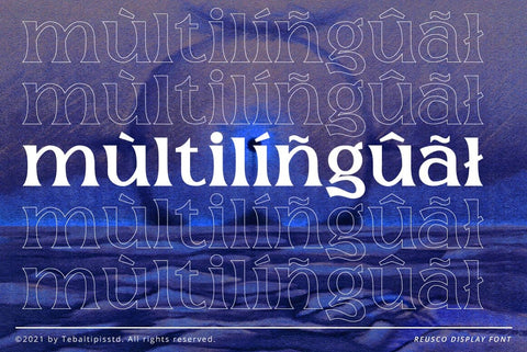 Reusco Display Typeface Font Fadeline Std. 