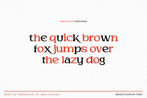 Reusco Display Typeface Font Fadeline Std. 