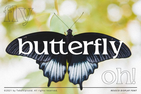 Reusco Display Typeface Font Fadeline Std. 