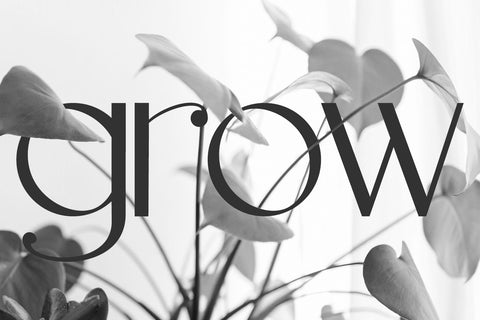 Reverie Modern Sans Font Font Beck McCormick 