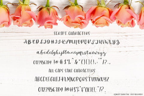 Reynolds Square Calligraphy Font Duo Font Beck McCormick 