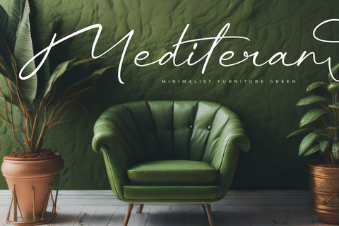 Rhinayza - Modern Signature Script Font Letterena Studios 