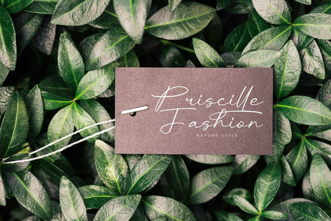 Rhinayza - Modern Signature Script Font Letterena Studios 