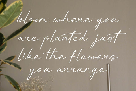 Rhinayza - Modern Signature Script Font Letterena Studios 