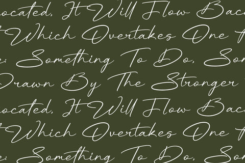 Rhinayza - Modern Signature Script Font Letterena Studios 