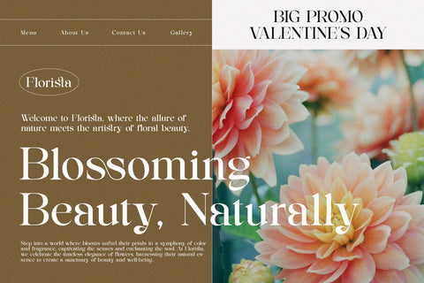 Rilashi - Elegant Serif Font Font studioalmeera 