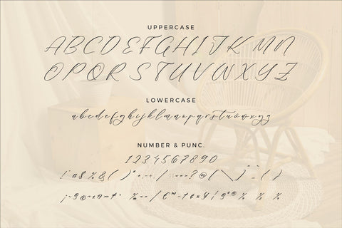 Rilenheart Scottibela - Chic Calligraphy Font Font Storytype Studio 