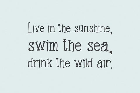 Riverbend Serif Font Font Beck McCormick 