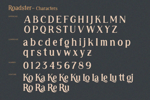 Roadster - Rough Display Font Alpaprana Studio 