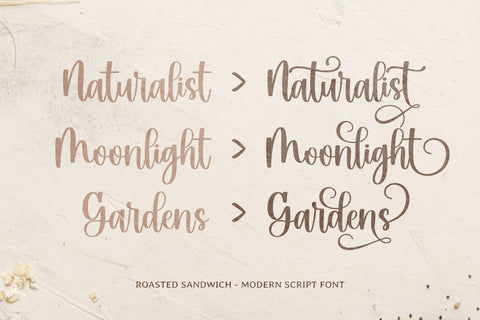 Roasted Sandwich Font Mozarella 