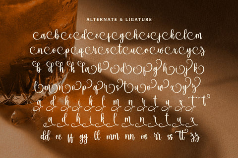 Roasted Sandwich Font Mozarella 