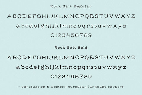 Rock Salt Typewriter Serif Font Font Beck McCormick 