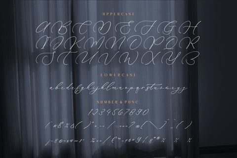 Rokuna Alenthush Font Duo Font Storytype Studio 