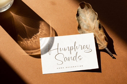 Roland Sidney - Modern Freestyle Script Font Letterena Studios 