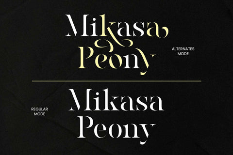 Ronaile - Special Stencil Font Arterfak Project 