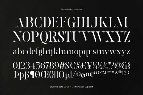 Ronaile - Special Stencil Font Arterfak Project 