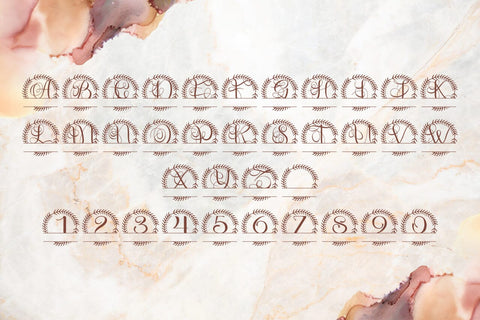 Rosaver Split Monogram Font Font Dm Letter Studio 