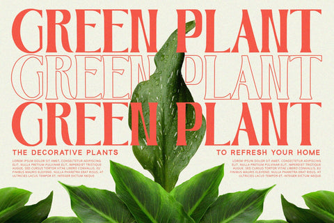 Roseate - Serif Font Font Alpaprana Studio 