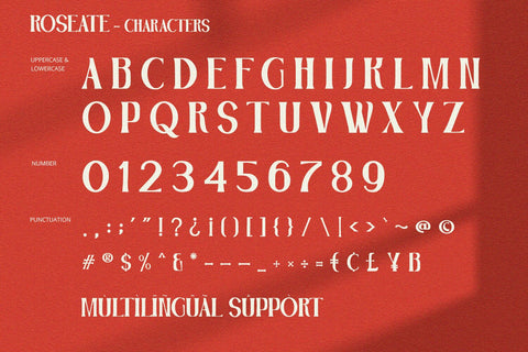 Roseate - Serif Font Font Alpaprana Studio 