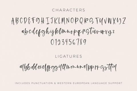 Rosecity Script Font Beck McCormick 