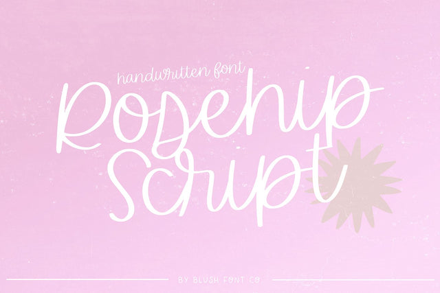 Rosehip Script Brush Handwritten Font Font Blush Font Co. 