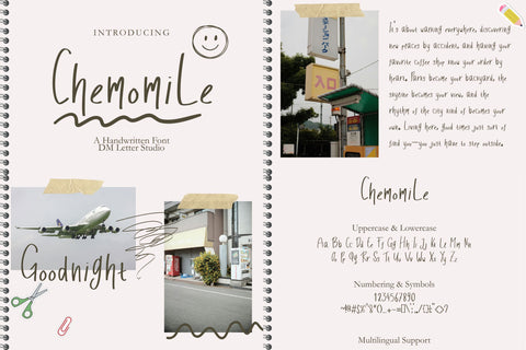 Rosy Meets Ribbon – Floral Monograms with Modern Handwriting Bundle Font Dm Letter Studio 