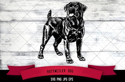 Rottweiler Dog SVG, Dog SVG, Logo - Digital Download with Commercial License for Cricut, Silhouette, Scan N Cut Crafting SVG Loveleen Kaur 