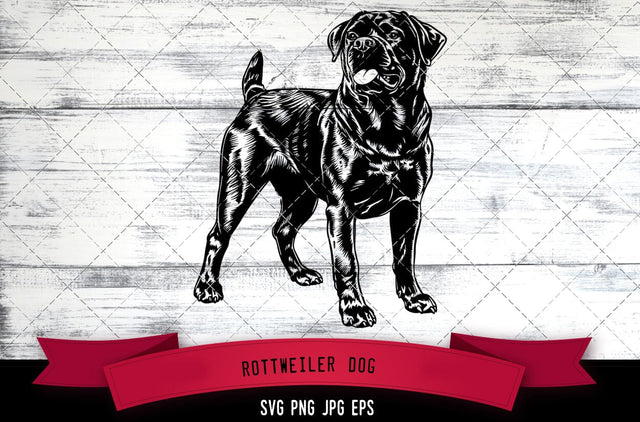 Rottweiler Dog SVG, Dog SVG, Logo - Digital Download with Commercial License for Cricut, Silhouette, Scan N Cut Crafting SVG Loveleen Kaur 
