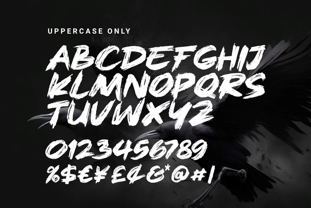 Rough Splash - Brush Font - So Fontsy