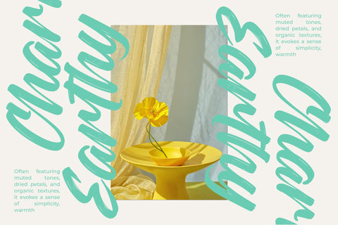 Rough Streak - Bold Brush Font Font Letterena Studios 