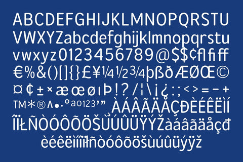 Rounded Sans Family - Rosmie Font Arterfak Project 