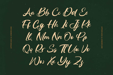 Routine Oldnight - Modern Brush Font Font Letterena Studios 