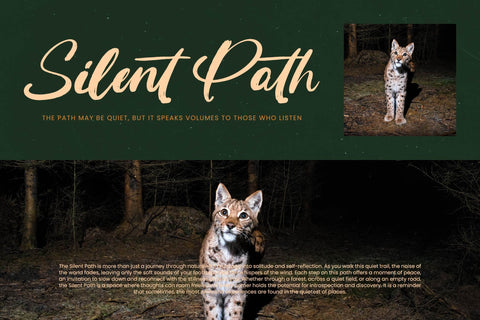 Routine Oldnight - Modern Brush Font Font Letterena Studios 