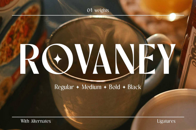 Rovaney – Fancy Font Family Font Arterfak Project 