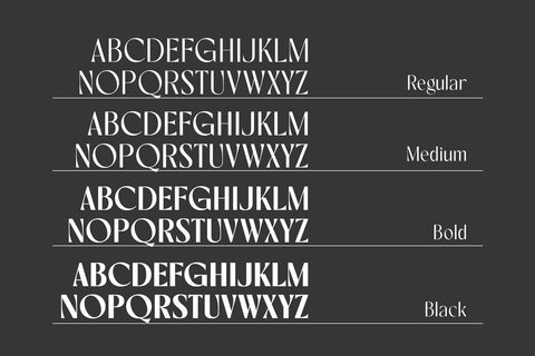 Rovaney – Fancy Font Family Font Arterfak Project 