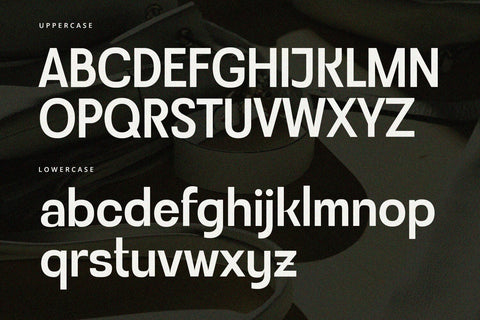 Rovique - Sans Serif Font Font Alpaprana Studio 