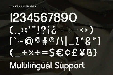 Rovique - Sans Serif Font Font Alpaprana Studio 