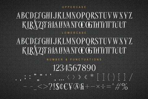Roxante - Modern Serif Font studioalmeera 