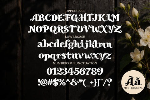 Royal Enigma – Classical Elegant Font Font Mozzatype 