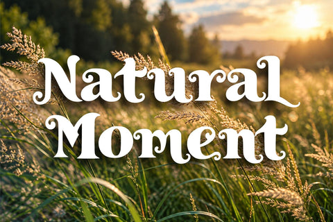 Royal Enigma – Classical Elegant Font Font Mozzatype 