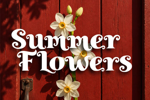 Royal Enigma – Classical Elegant Font Font Mozzatype 