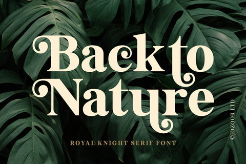 Royal Knight - Modern Serif Font Font Jozoor 