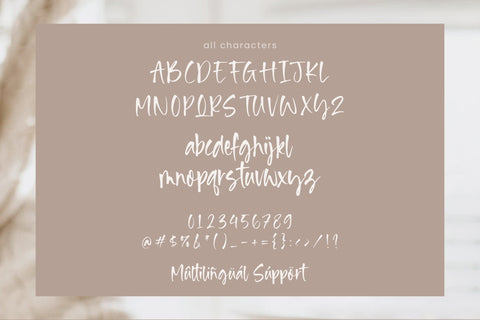 Royal Winter - Handwritten Font Font Timur type 