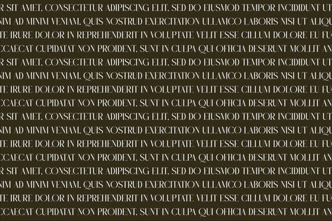 RUGHATO WACNER Typeface Font Storytype Studio 