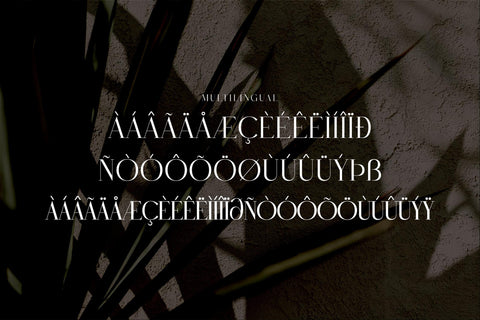 RUGHATO WACNER Typeface Font Storytype Studio 