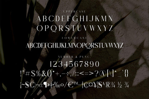 RUGHATO WACNER Typeface Font Storytype Studio 