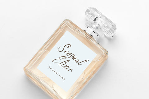 Rustic Astera - Modern Handwritten Script Font Letterena Studios 