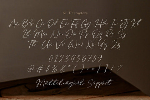 Rustic Buffet - Modern Handwritten Script Font Font Timur type 