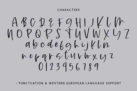Rusticity Script Font Beck McCormick 
