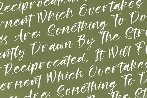 Rustling Kingdom - Modern Script Font Font Letterena Studios 